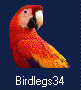 Birdlegs.jpg (2483 bytes)