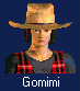 Gmimi.jpg (2165 bytes)