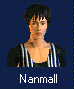 Nanmall.jpg (2139 bytes)
