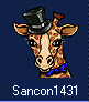 Sancon.jpg (2886 bytes)