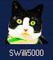 Swill.jpg (3595 bytes)